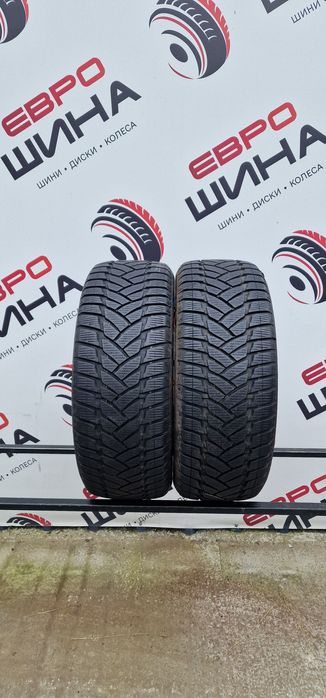 Зима 225/50/R17 9.4 мм 2шт Dunlop Winter Колеса Шини Резина Склад