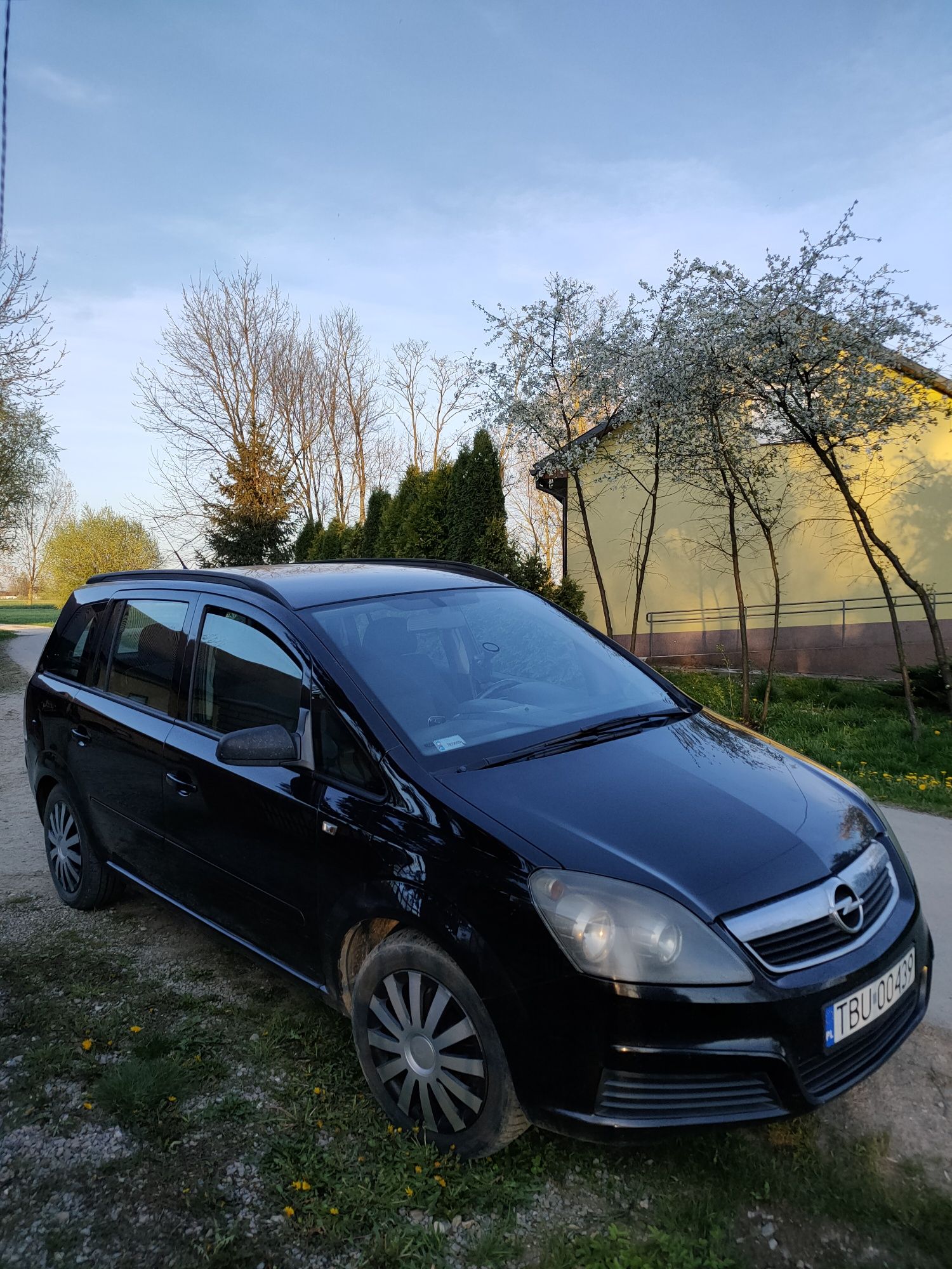 Opel Zafira B 1.9 100km