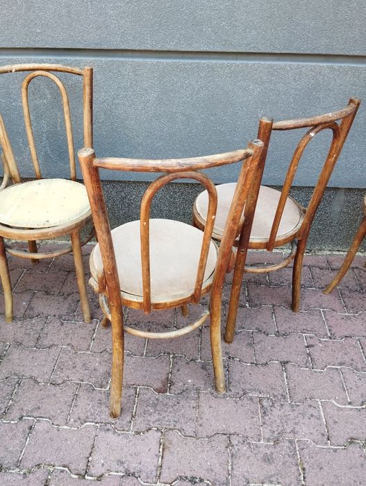 Krzesła 4 szt Thonet Fameg