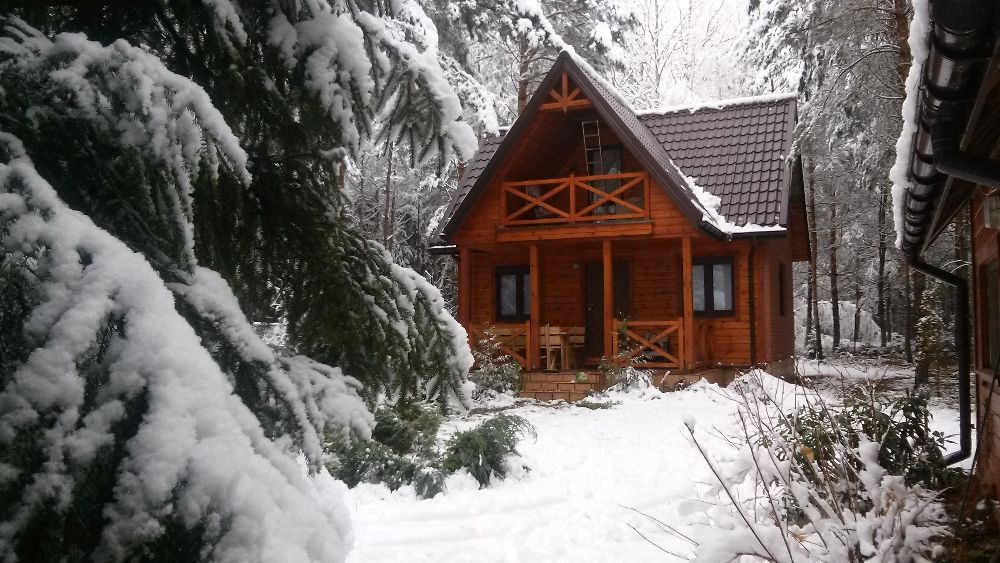 Wynajmę uroczy domek nad Siemianówką - Nowa Łuka