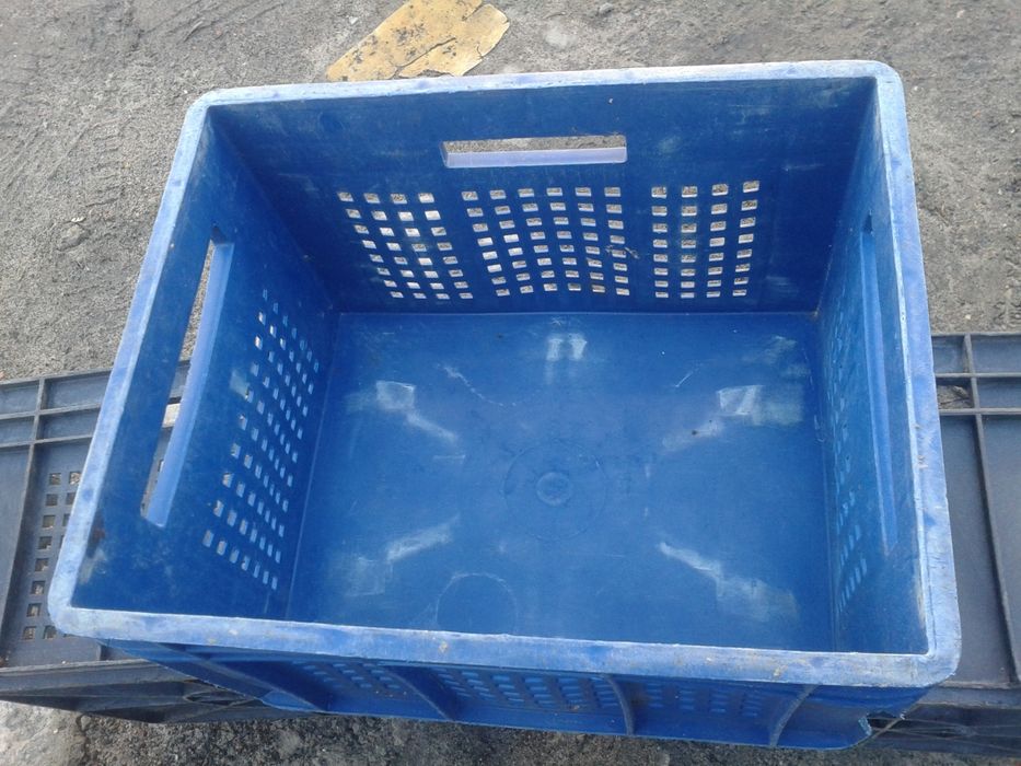 Ящик пластиковый сплошной для ягод