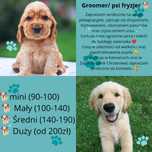 Groomer/ psi fryzjer