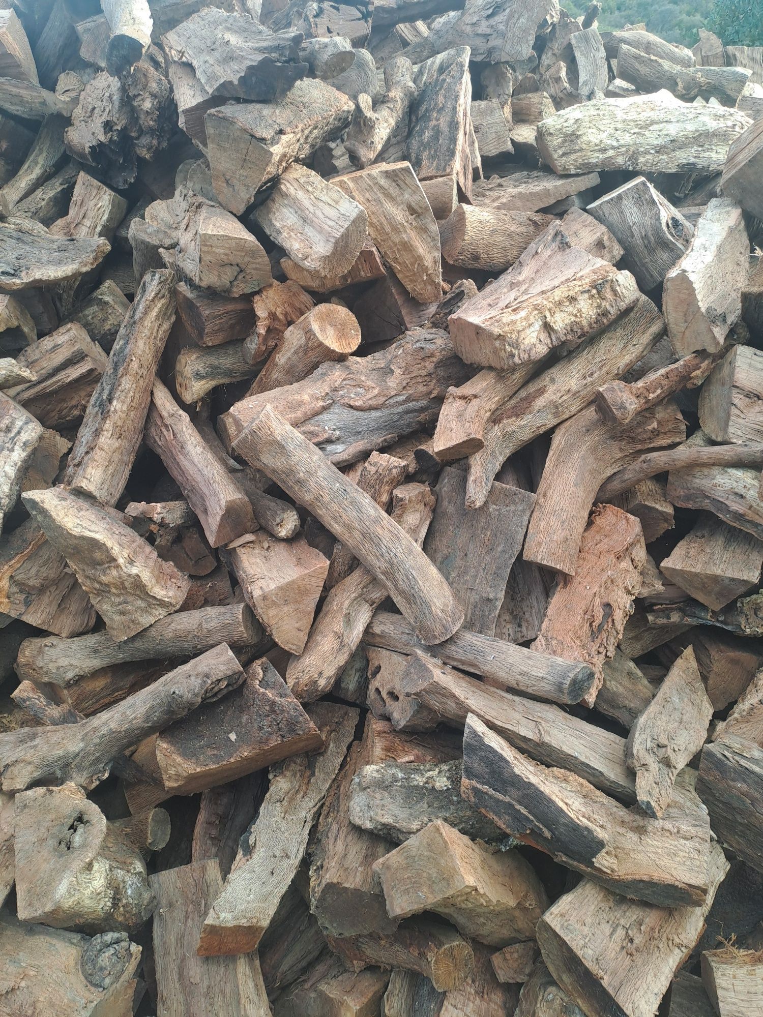 Lenha/ Firewood azinho-sobro