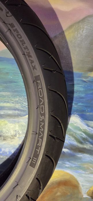 Моторезина dunlop sportmax roadsmart 3 120 70 zr17