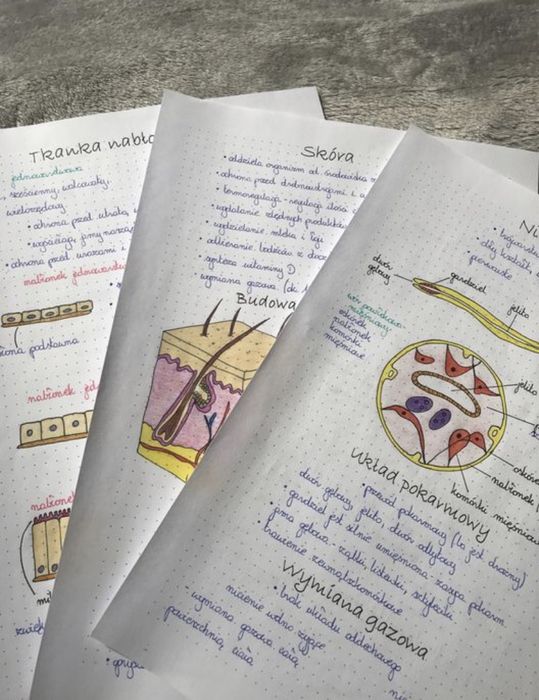 Notatki maturalne z biologii