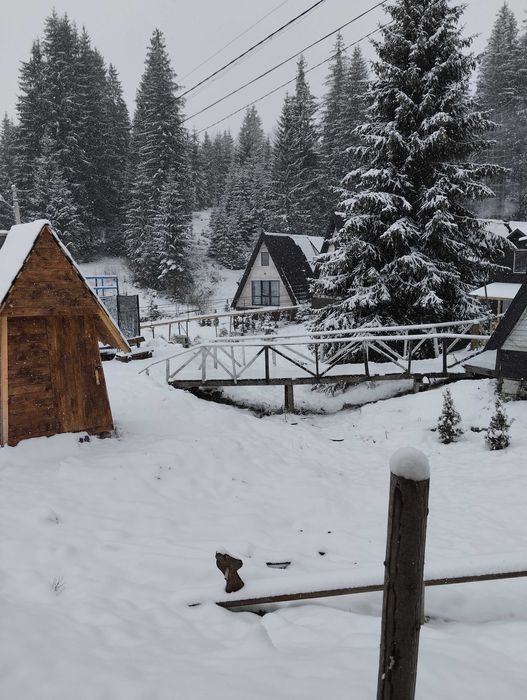 Оренда котеджу, будинку, житла у Карпатах