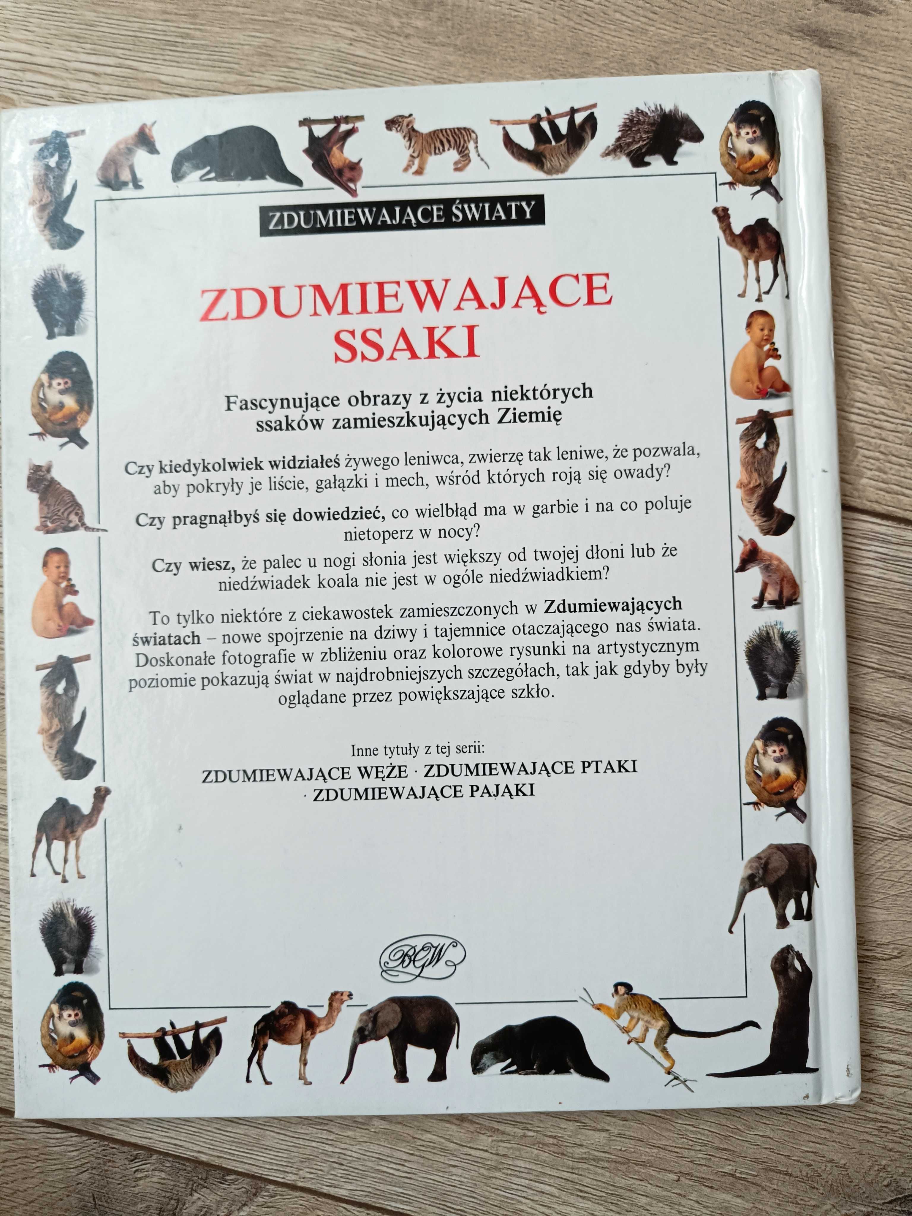 "Zdumiewajace pająki,ssaki,motyle" Seria Alexandra Parsons,Jerry Young