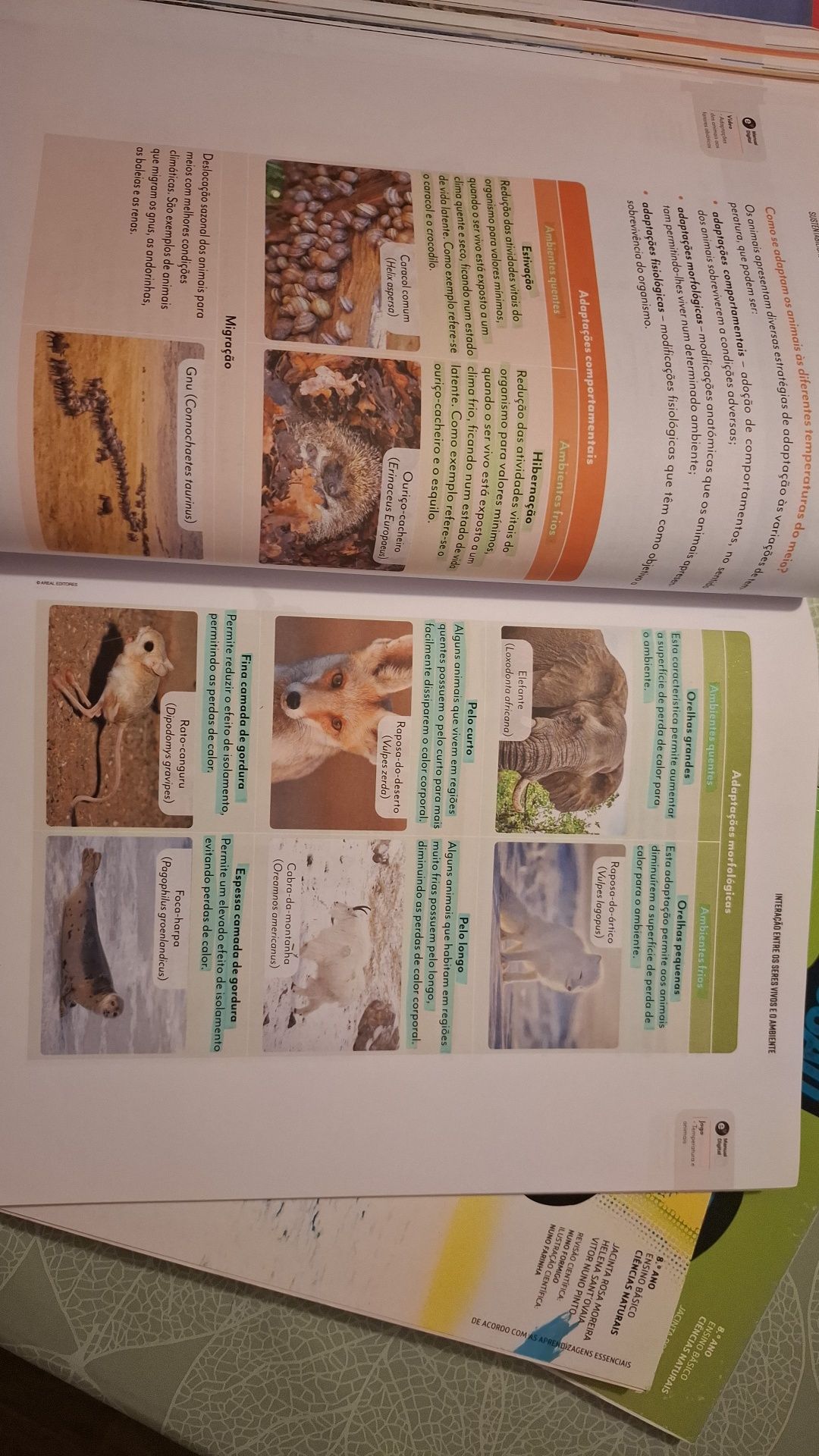 Livros escolares 8 ano Manuais escolares (Preços no texto do anúncio)