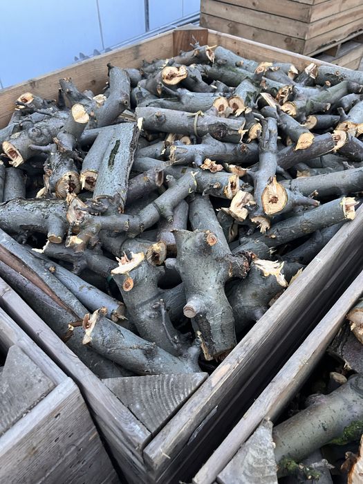 Sprzedam drzewo świeże na opał