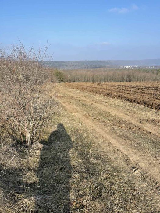 Продам земельну ділянку 1,11 га в с.Куражин , Хмельницької обл.