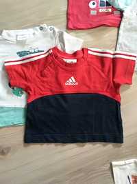 Koszulki 5 szt. adidas, coccodrillo 74