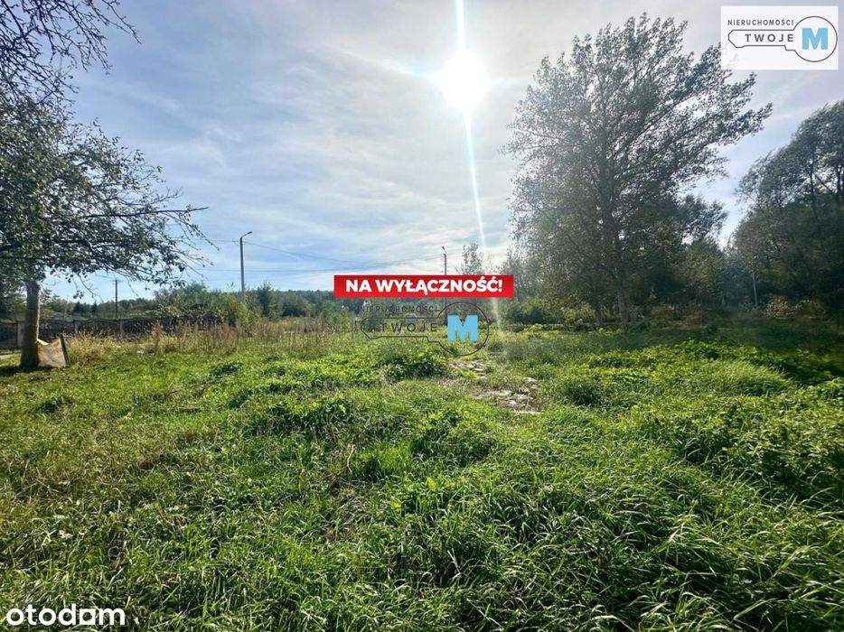 Urokliwa działka, w pobliżu las oraz rzeka Nida.