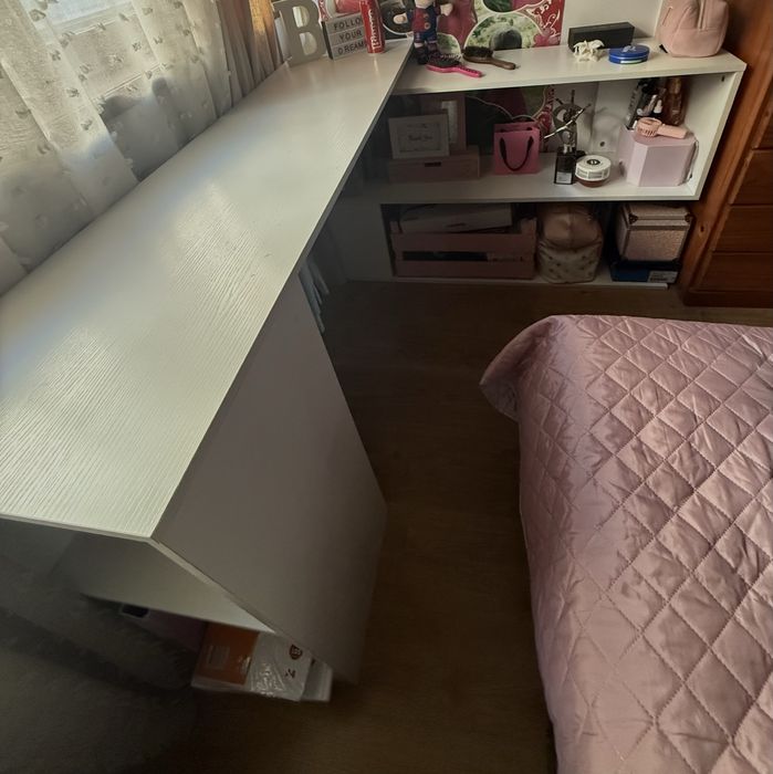 secretaria como nova