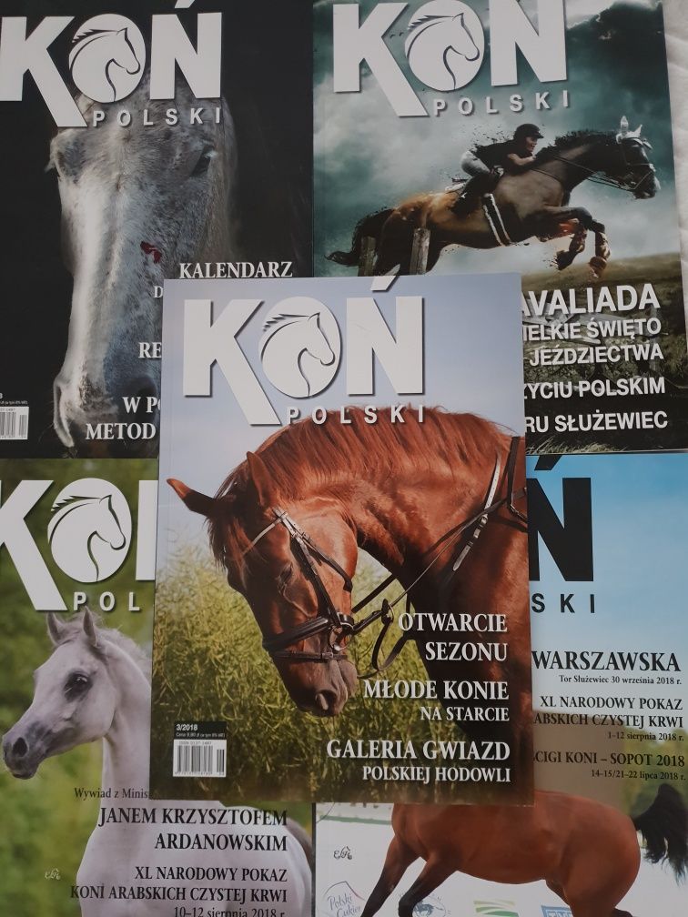 Koń polski czasopismo miesięcznik 5 szt 2018
