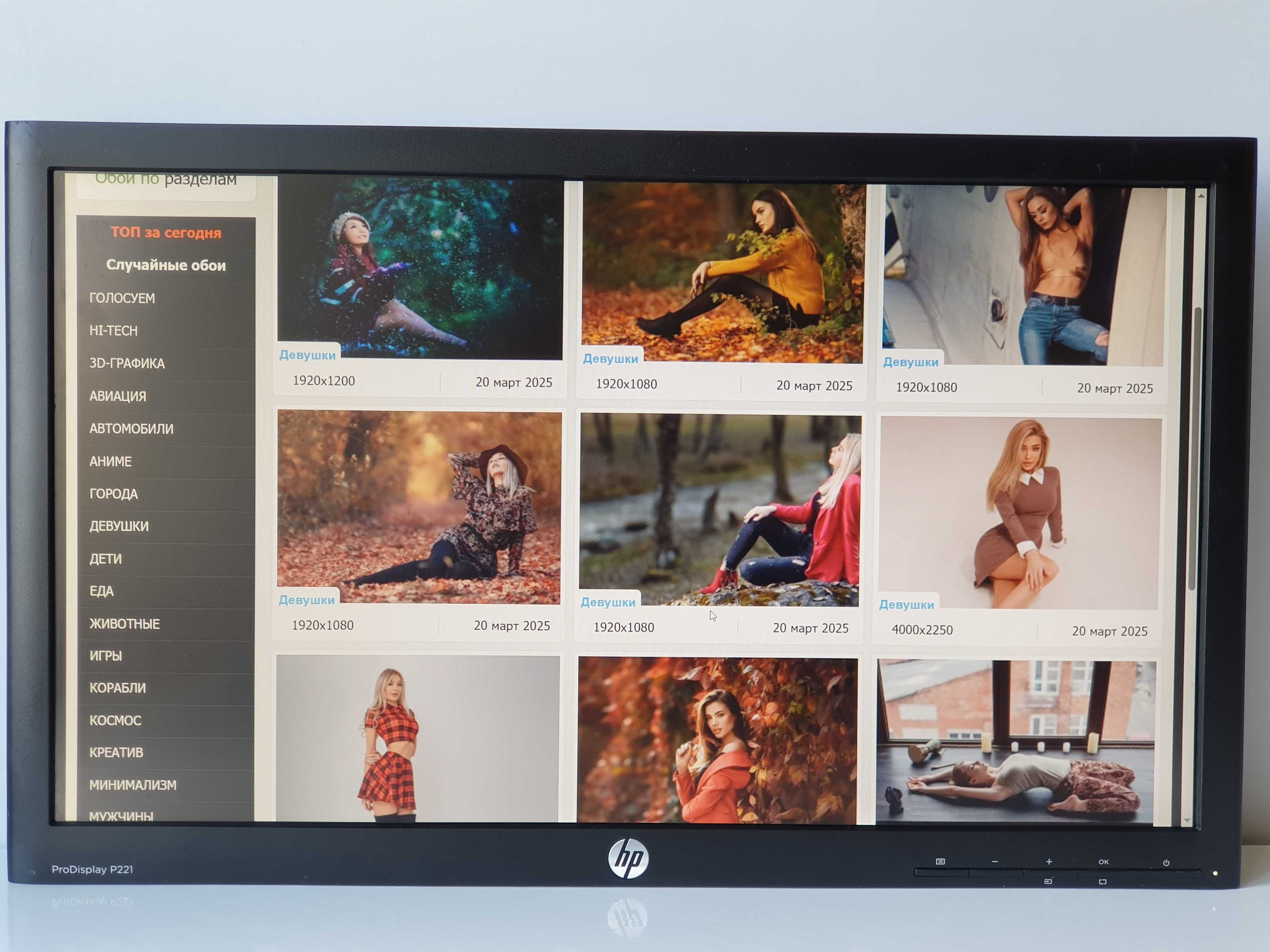 Монітор  22" HP ProDisplay P221  1920х1080   LED  TN + кабель VGA DVI