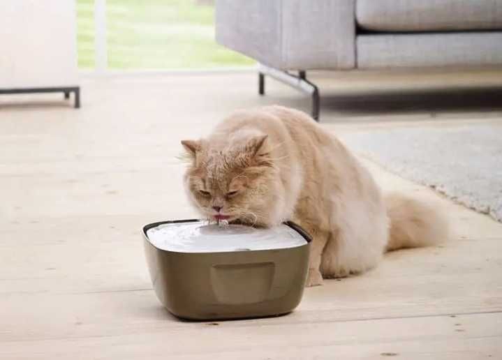 Savic (Савик) Volcano фонтан-поилка для собак и котов.