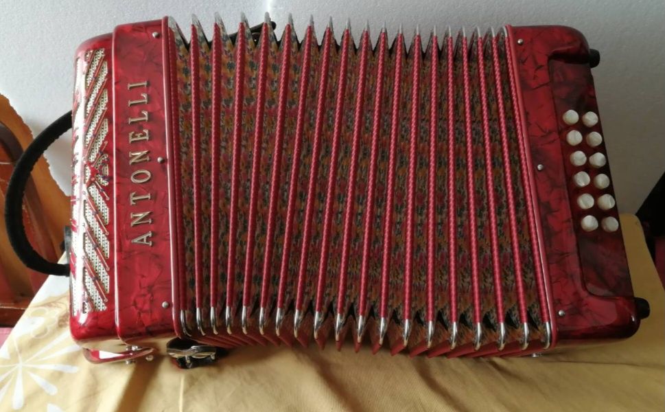 Concertina Antonelli como nova