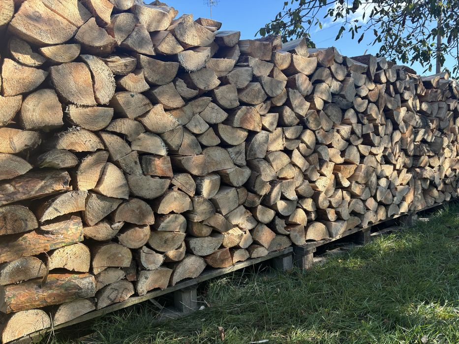 Drewno opałowe (łupane, wałki, pocięte) - Sosna