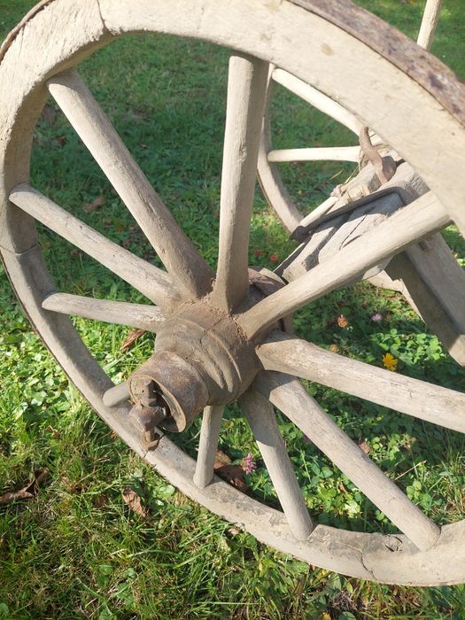 Stare kolca do pługa koła drewniane
