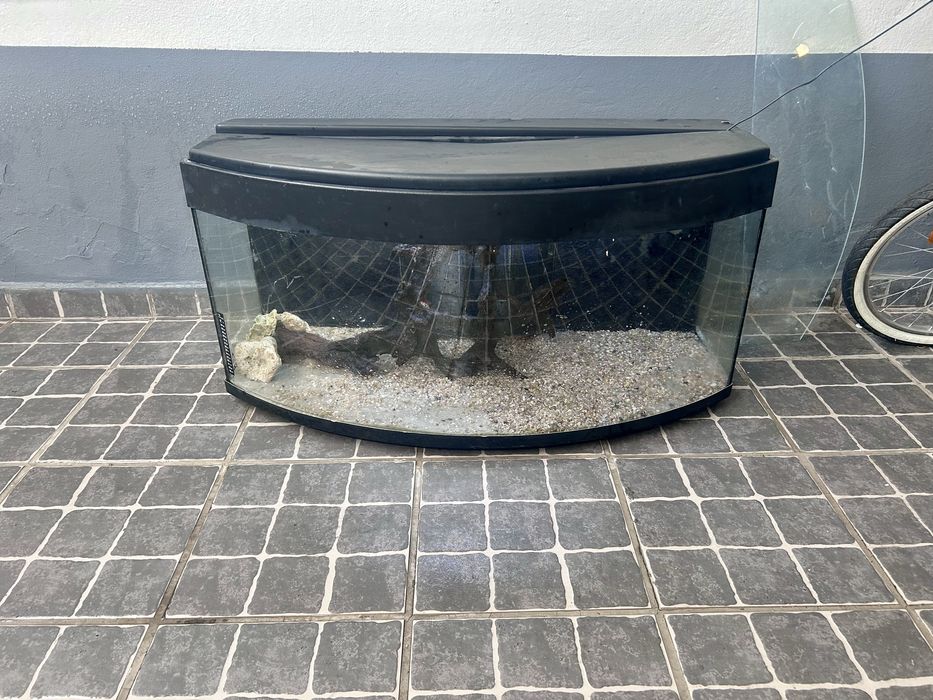 Aquario Panoramico 1 Metro