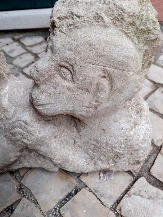 Cabeças  de macaco de pedra para coleção