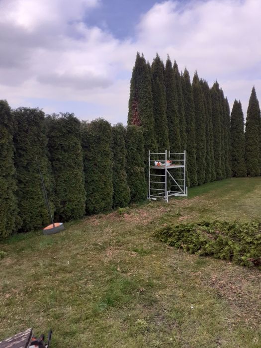 Koszenie, wycinka drzew, czyszczenie działek, pielęgnacja ogrodu