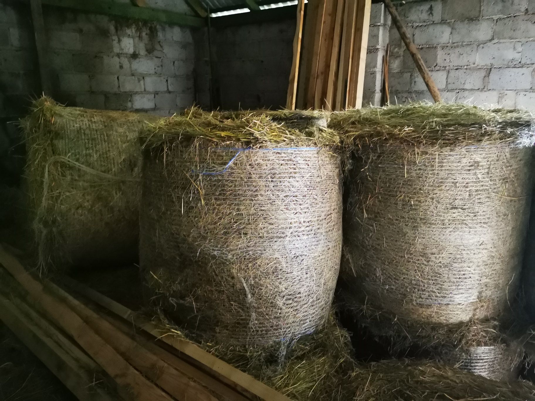 Ekologiczne siano w belach, , pachnące, z naturalnej łąki