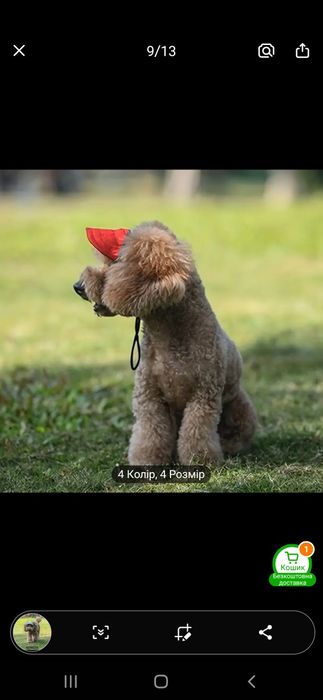 Кепка для собак и кошек S 190грн. Флисовая кофточка для щенят и котят