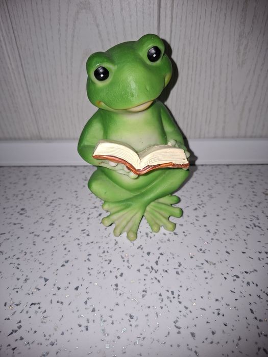 Żabka z książką  :  )