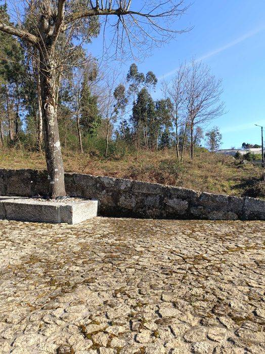Terreno Santa Apolónia silvares