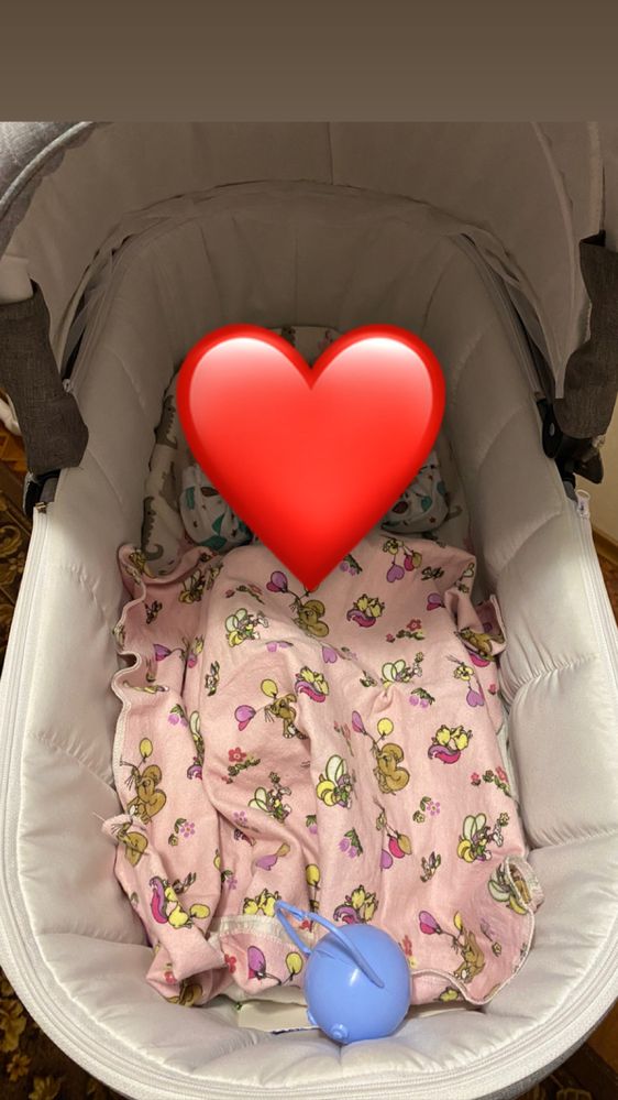 Коляска BabyPram 2в1