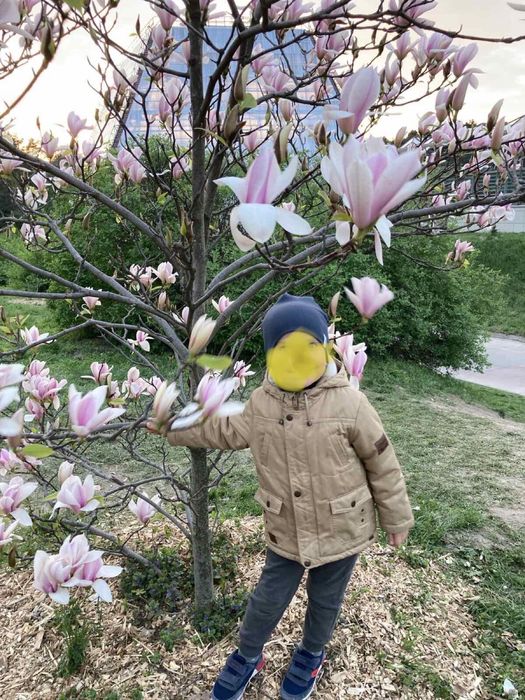 Весна - осінь куртка - парка Bembi 98