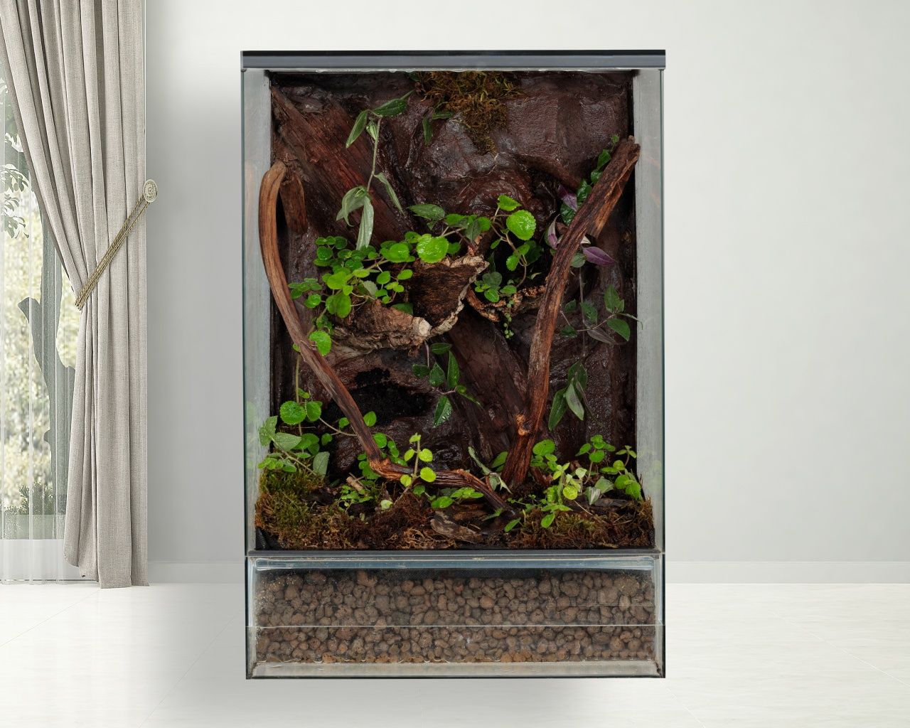 Terrarium gekon paludarium