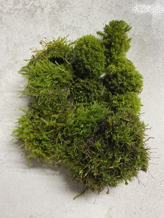 Mech dekoracje rozne rodzaje