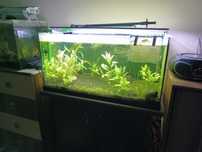 Akwarium 112l zestaw + akcesoria