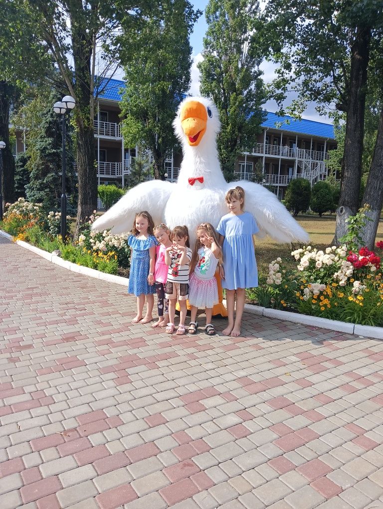 Привітання від Зайчика, Гуся або Білого Ведмедя, Одеса