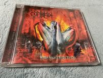 Contempt  - When Angels Begin To Cry
