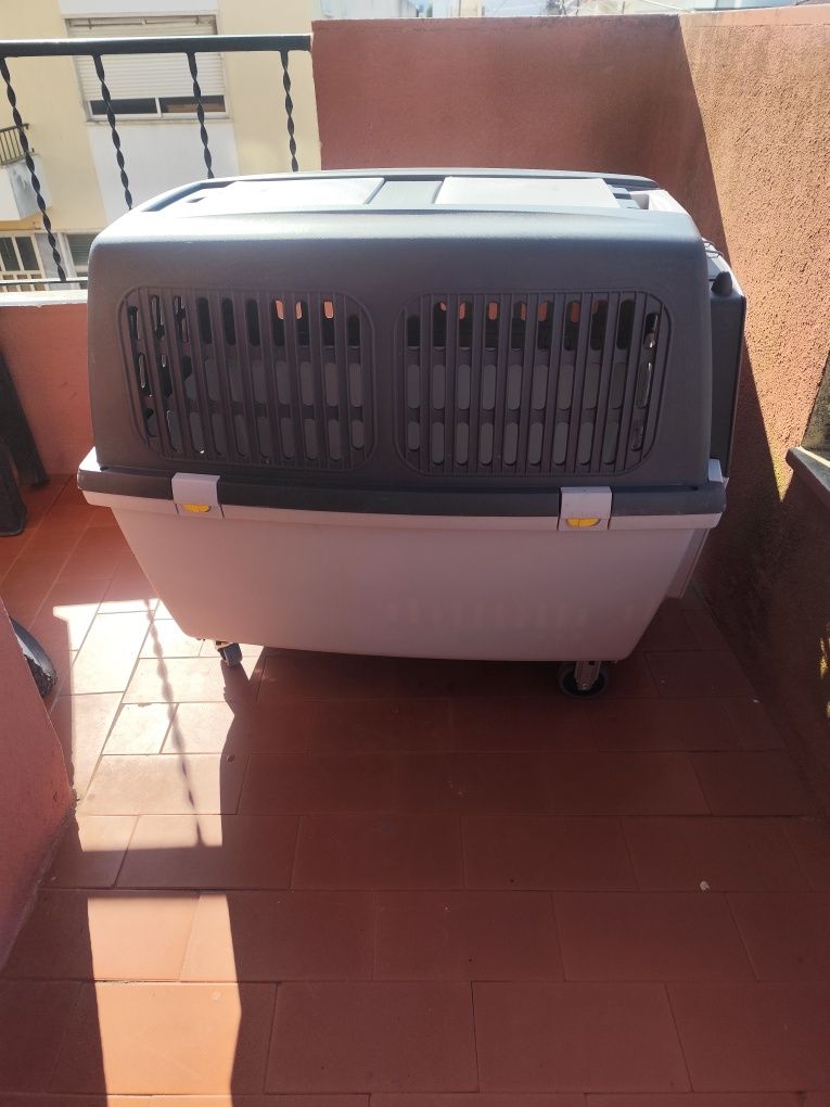Caixa para transporte de animais