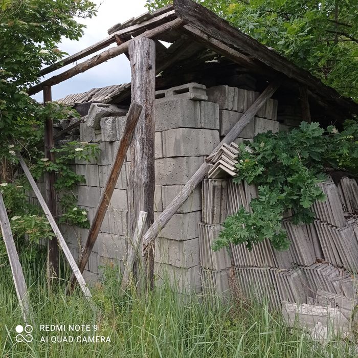 Pustaki duże i połówki