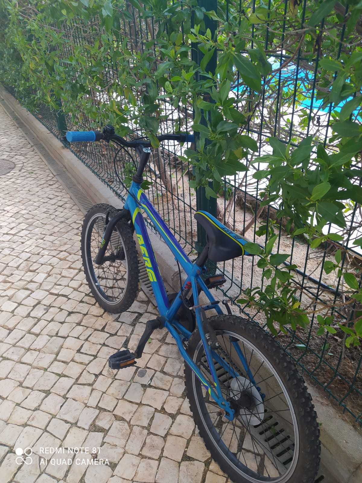 Bicicleta Berg Junior