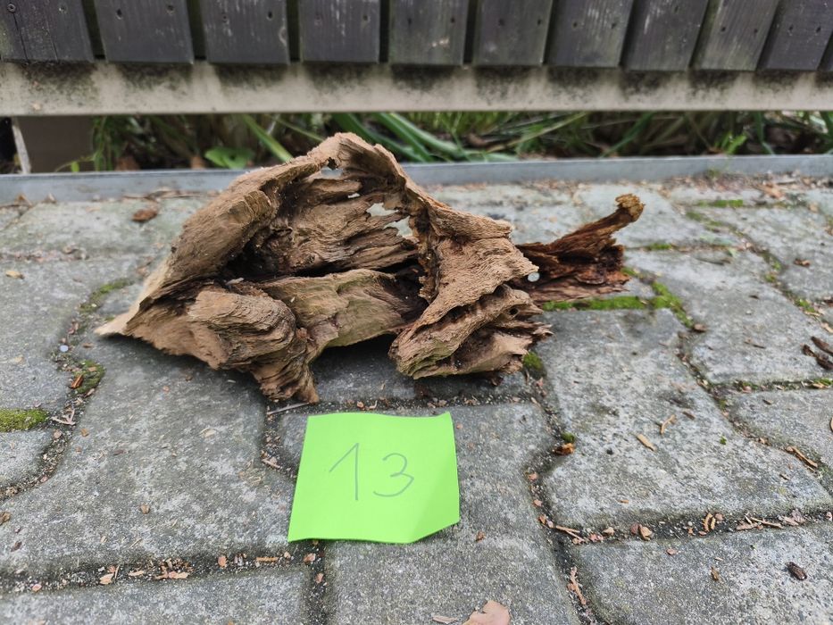 Korzeń nr 13 do akwarium