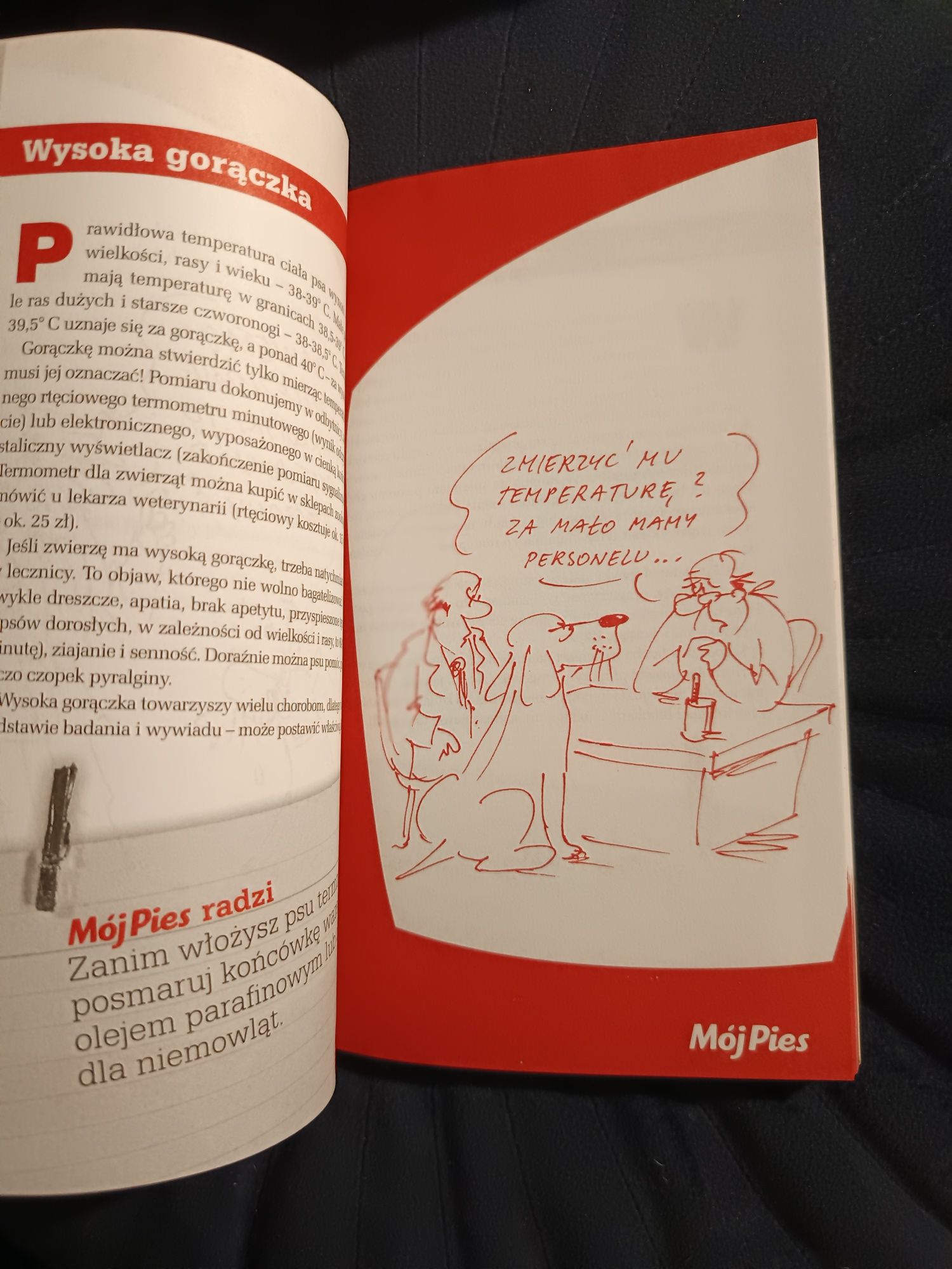 Mój pies jest zdrowy, praktyczny poradnik jak pomóc choremu psu