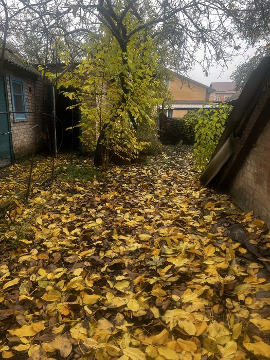 Продаж половини будинку на Олексіївці