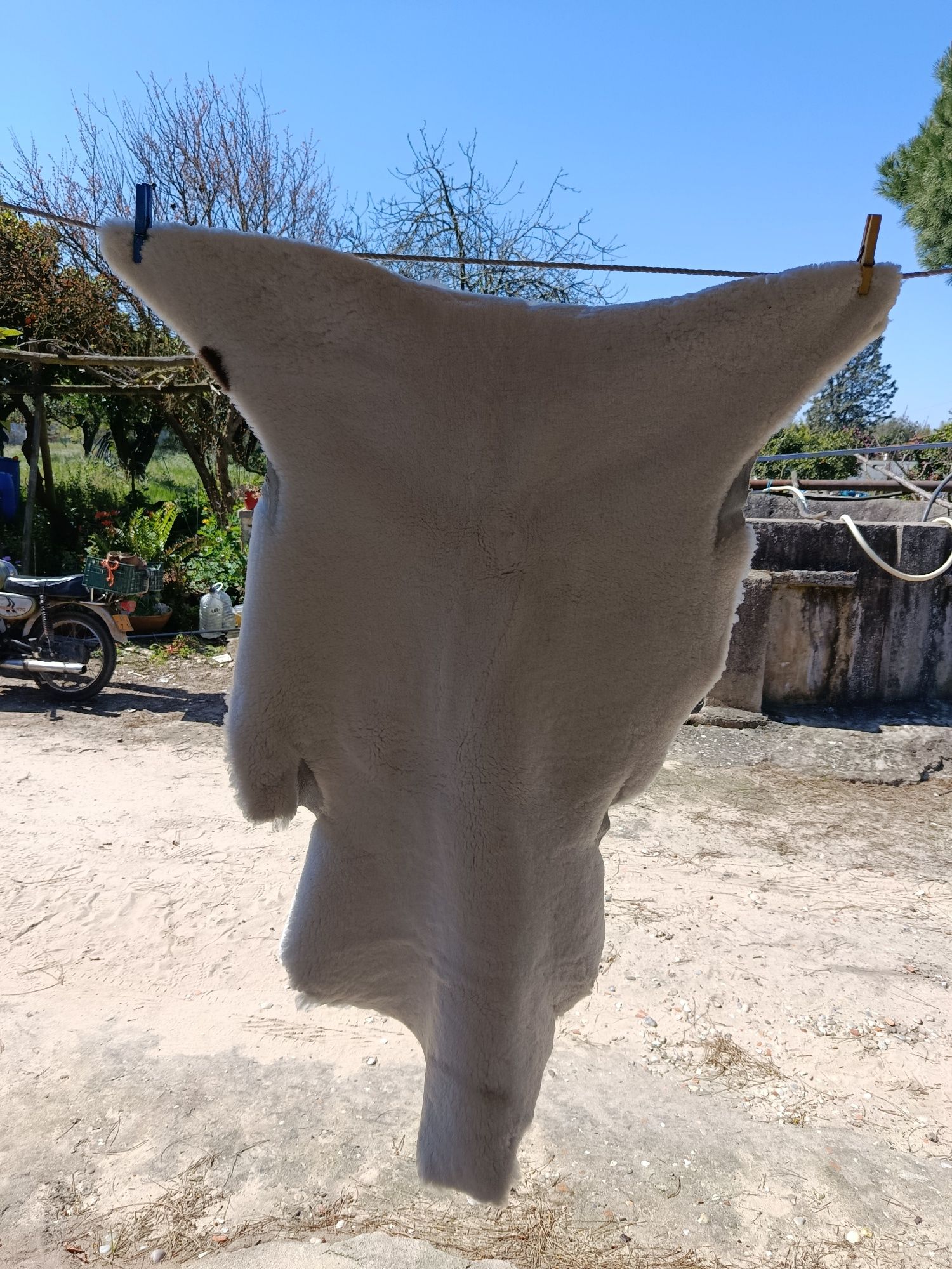 Vendo pele de borrego nova