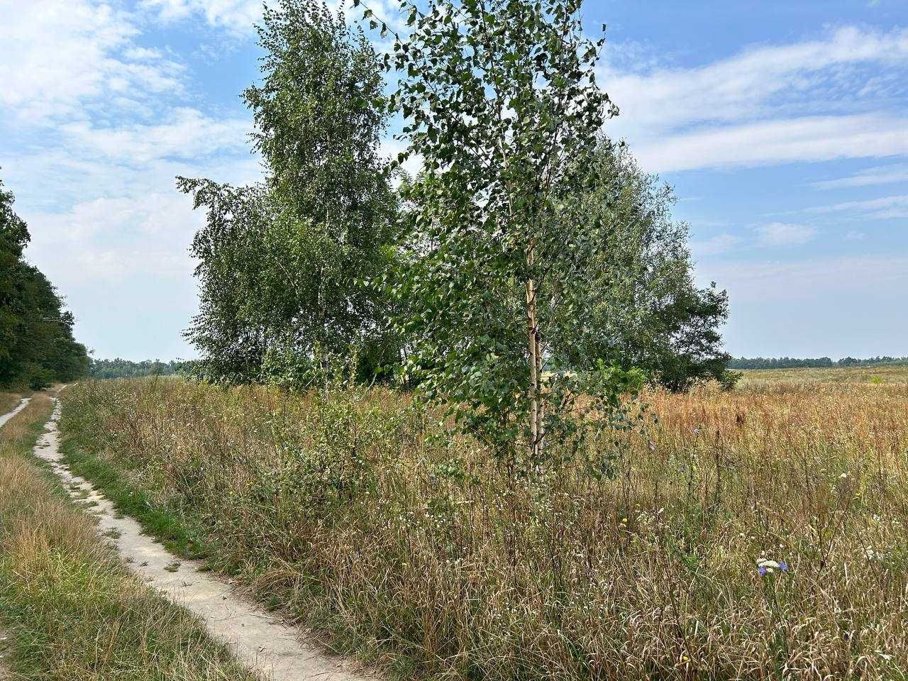 Продам земельну ділянку в с. Озера, Київська область, вул Шевченка
