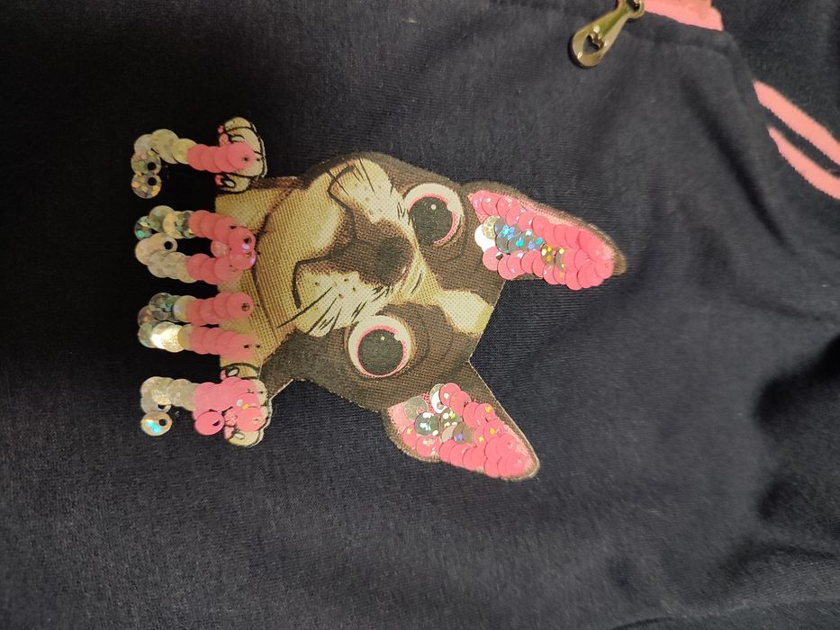 Śliczna bluza bejsbolówka z pieskiem r.134/140