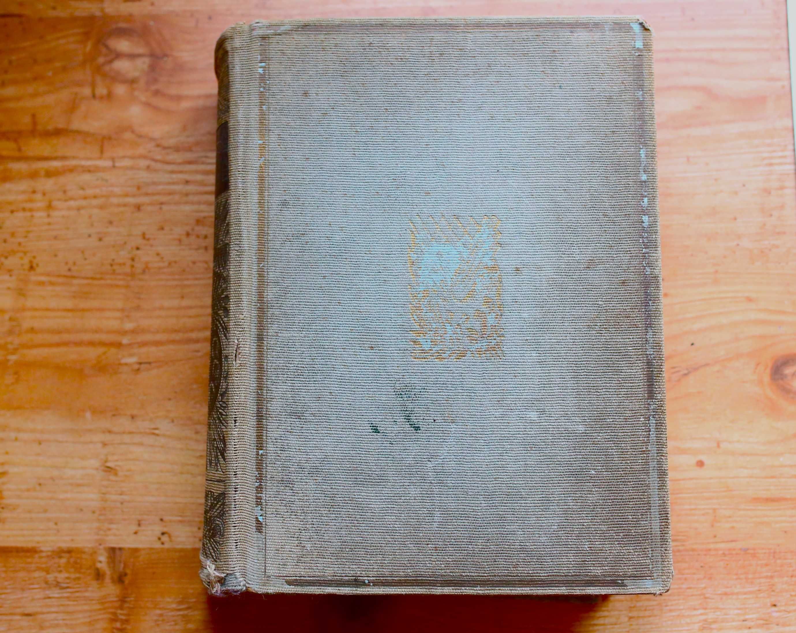 Malarstwo w Polsce od XIX do XX wieku  Feliks Kopera r. 1929 unikat