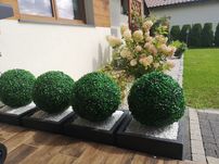 OGRODNIK przycinanie drzew formowanie TUI TUJI ŻYWOPŁOTU  sprzatanie