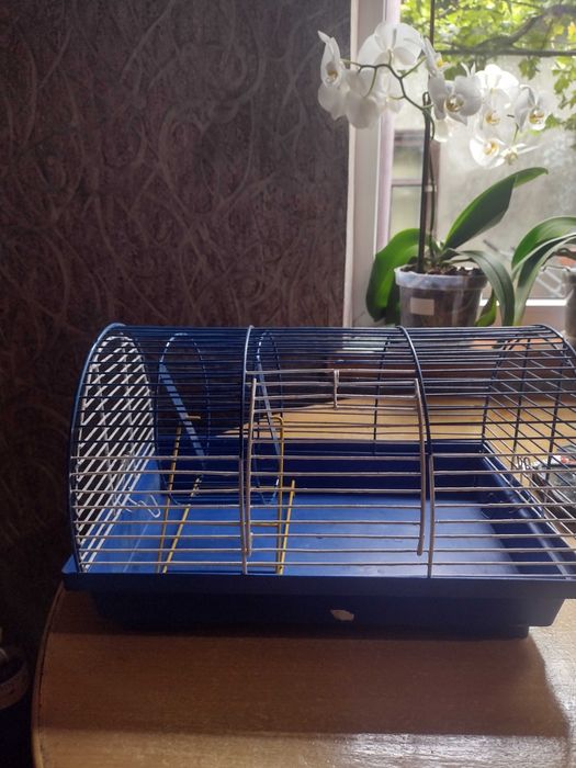 Клетка для хом'яка ,крысы,белки и других грызунов.