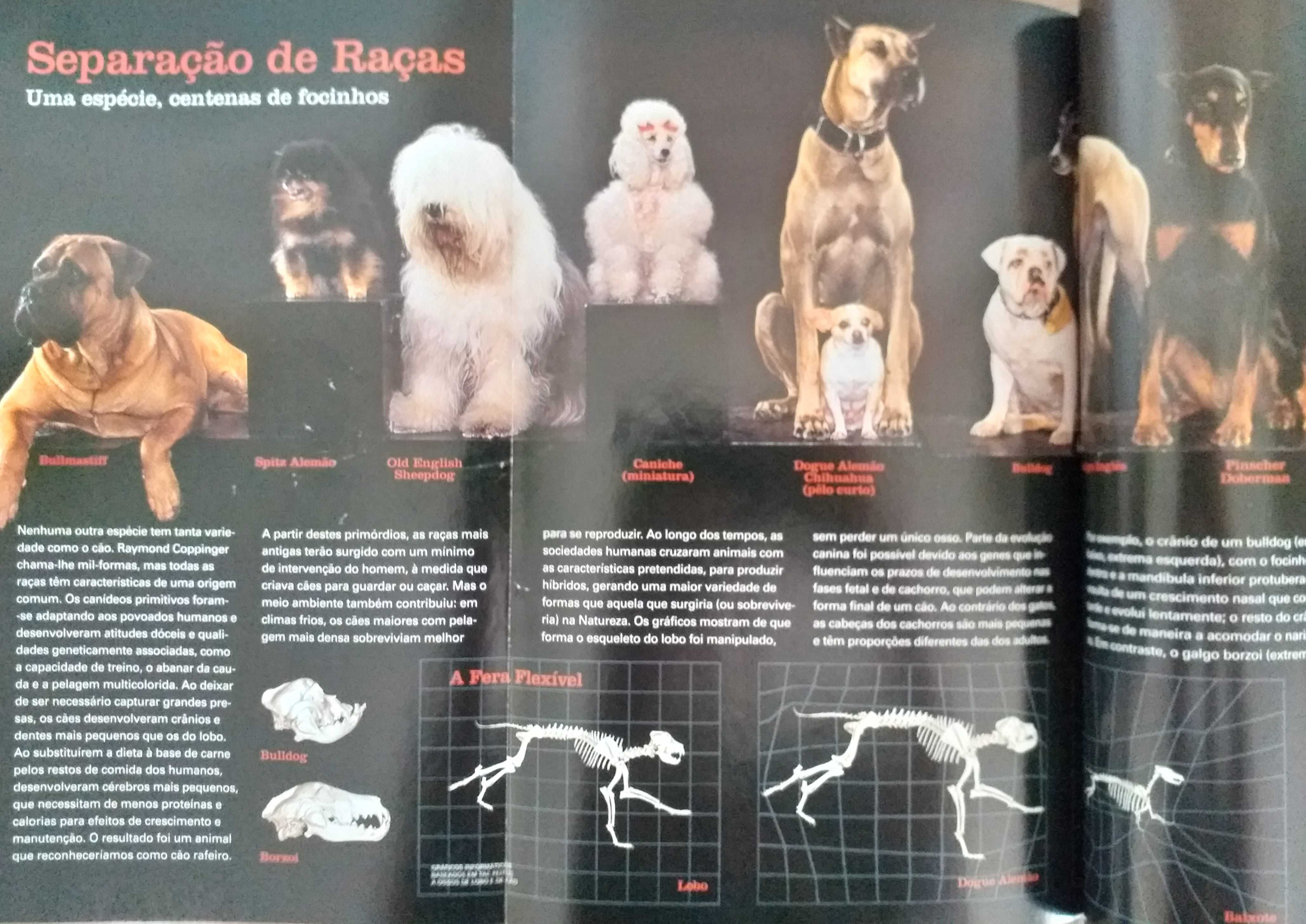Revista National Geographic Portugal, nº 10 de 2022